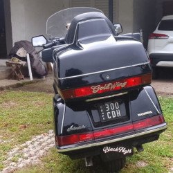 Goldwing 1000 (Mod 1994) 1500 Interstate